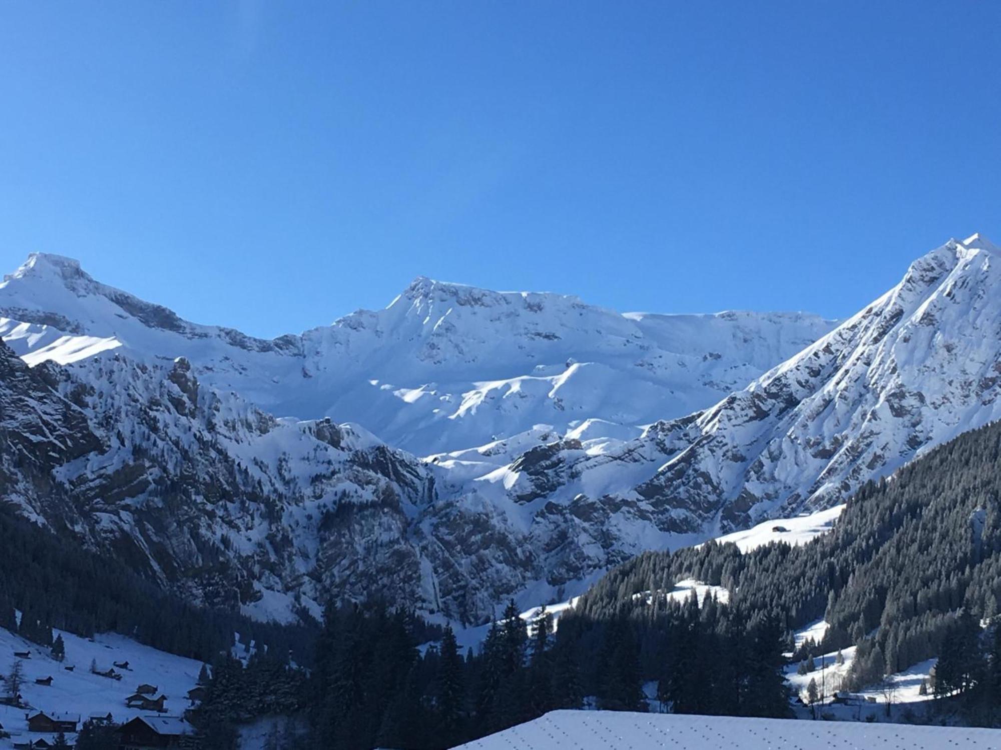 Apartment Hari By Interhome Adelboden Zewnętrze zdjęcie