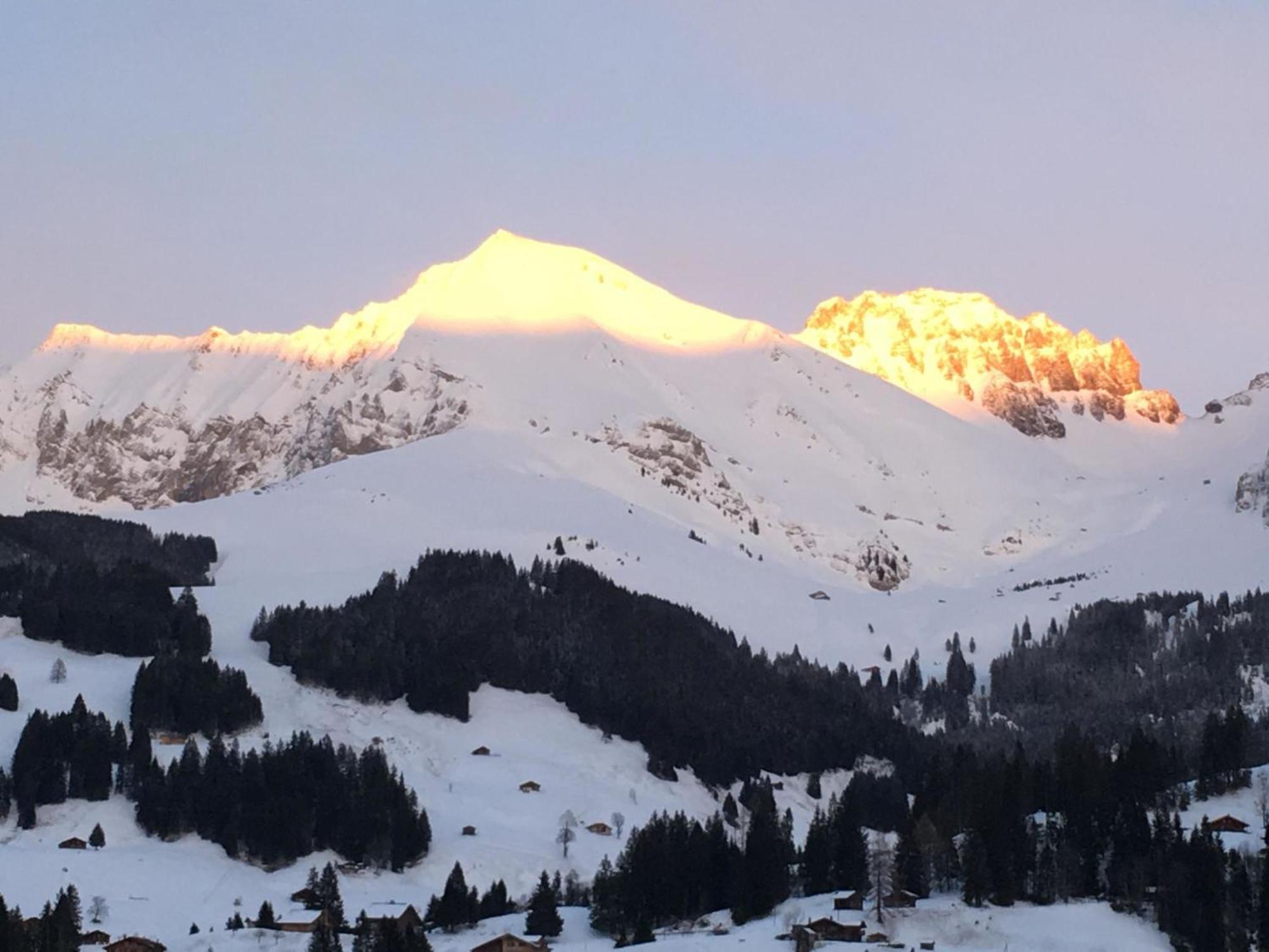 Apartment Hari By Interhome Adelboden Zewnętrze zdjęcie
